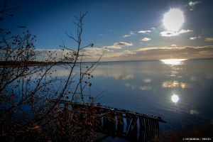 019-Kalvebod Fælled.jpg